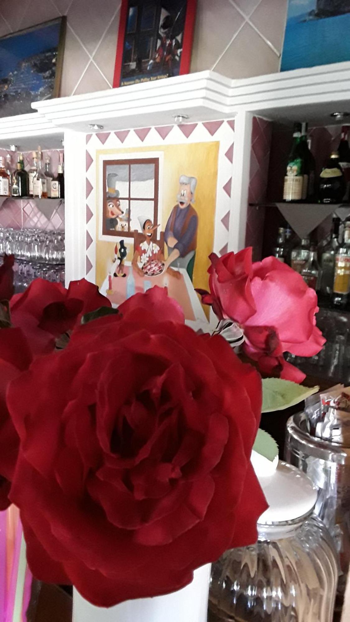 Hotel Pinocchio أرتْساكينا المظهر الخارجي الصورة